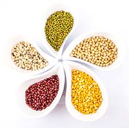 Beans & Legumes